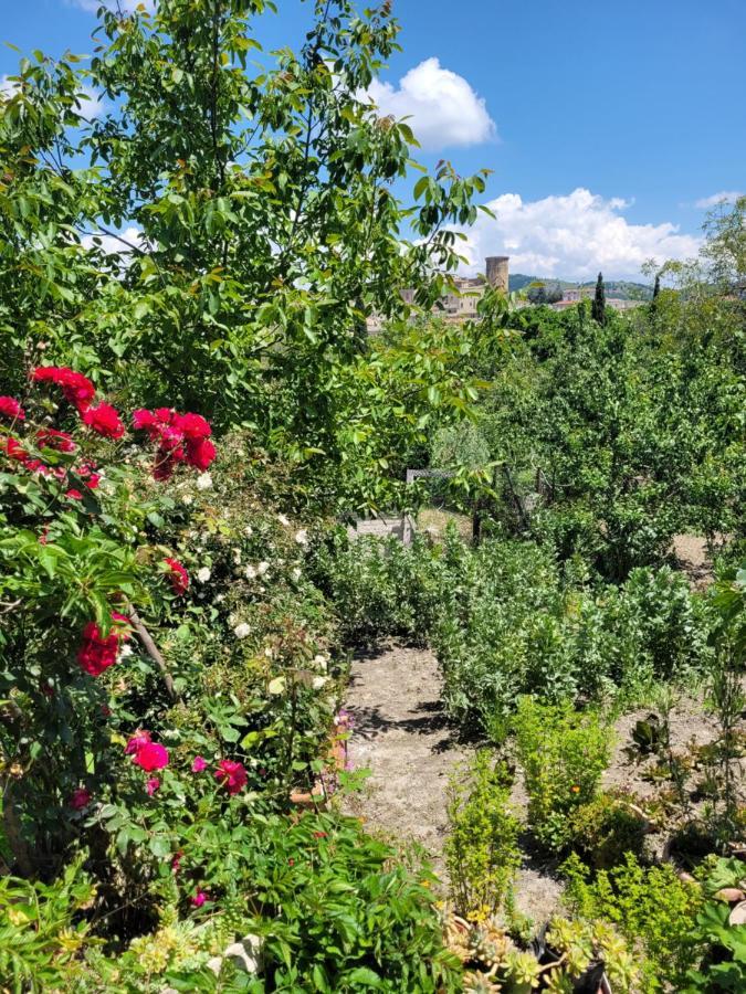 Comfort, Parcheggio E Balcone Su Tricarico In Basilicata, Io Sono Qui 外观 照片