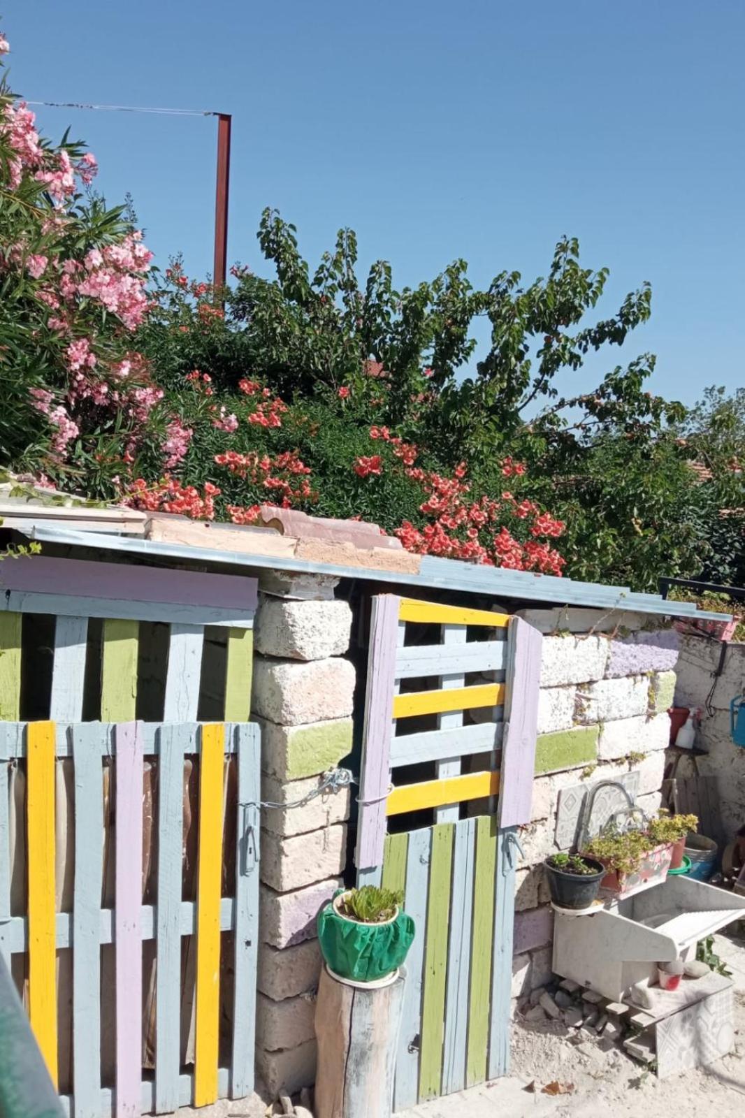 Comfort, Parcheggio E Balcone Su Tricarico In Basilicata, Io Sono Qui 外观 照片